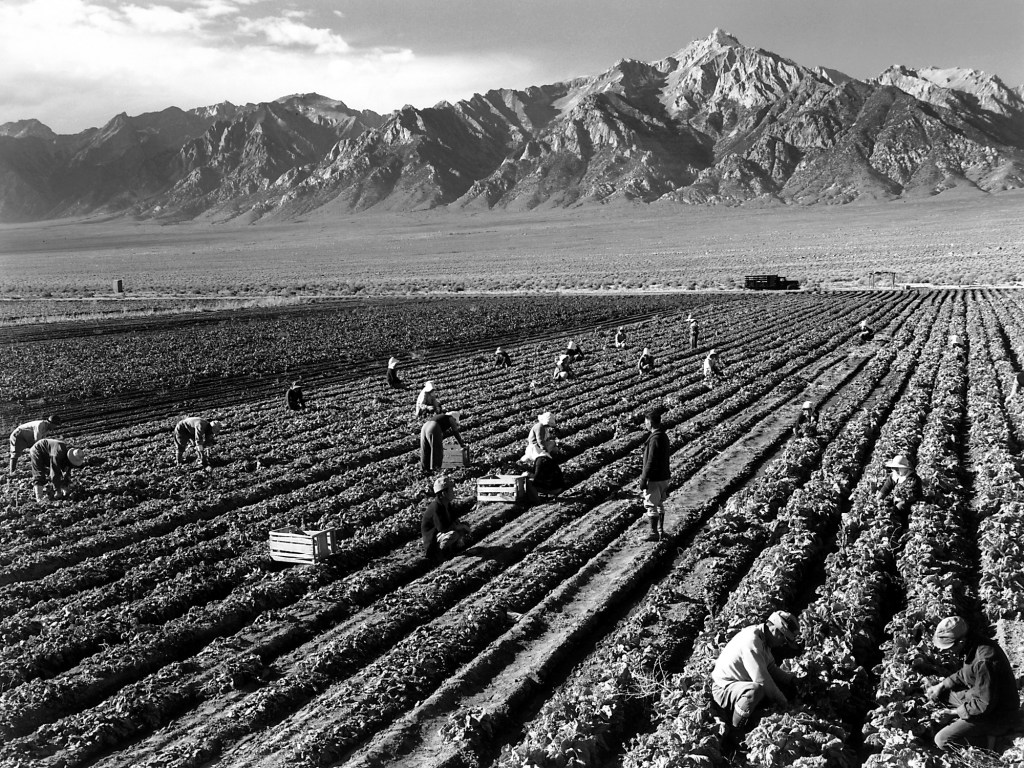 Ansel Adams (1943) Farm workers and Mt. Williamson